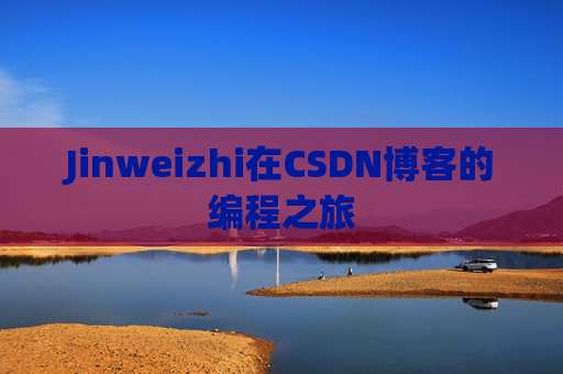 Jinweizhi在CSDN博客的编程之旅
